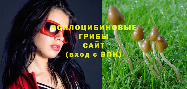 прущие крисы Алексин