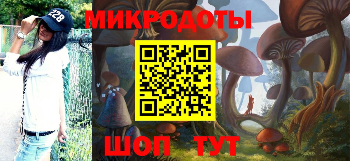 Псилоцибиновые грибы мицелий Кимры