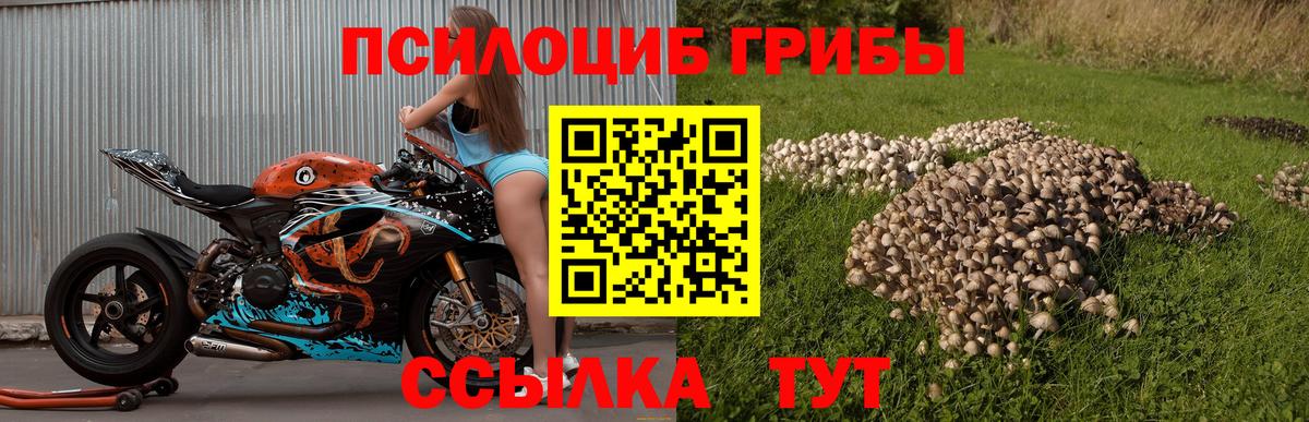 Кимры  Галлюциногенные грибы ЛСД  Вход с VPN 